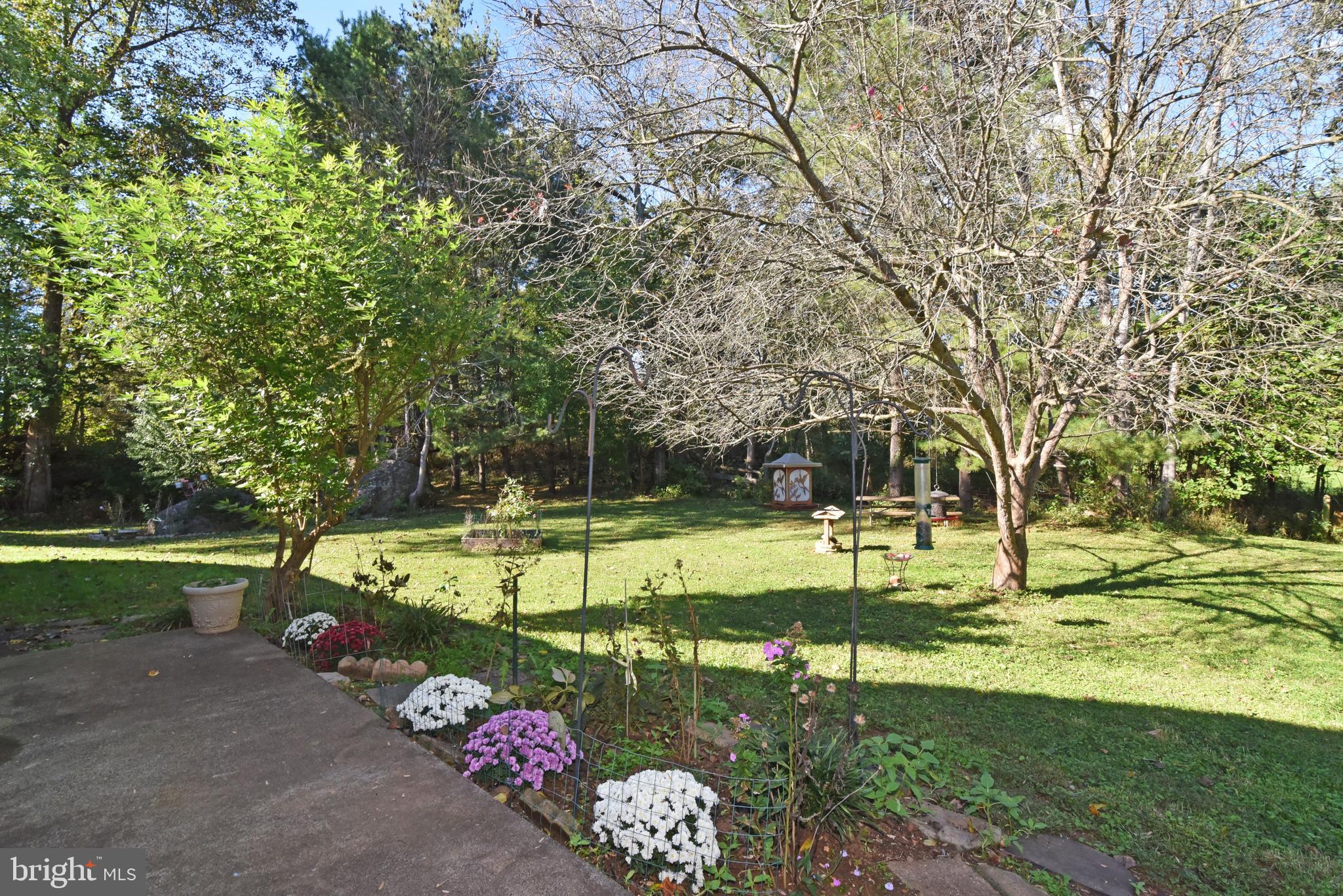 15971 Limestone School Road Leesburg, VA 20176 - Photo 6 of 75 Gallery Image 6