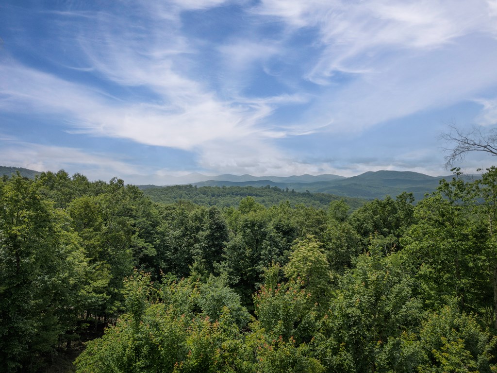 310 Wunder Bear Ridge Morganton, GA 30560 - Photo 52 of 54