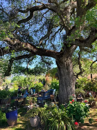 $779,298 | 9556 Banderilla Drive, La Grange, CA 95329