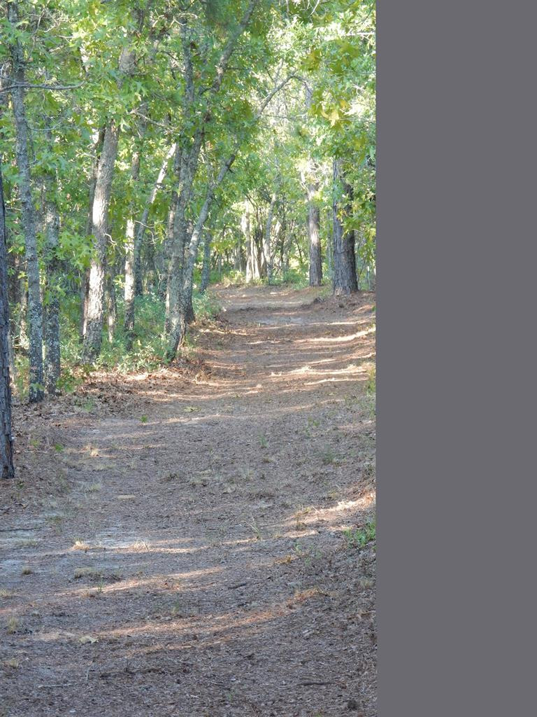 624-626 North Windsor Road Windsor, SC 29856 - Photo 3 of 20