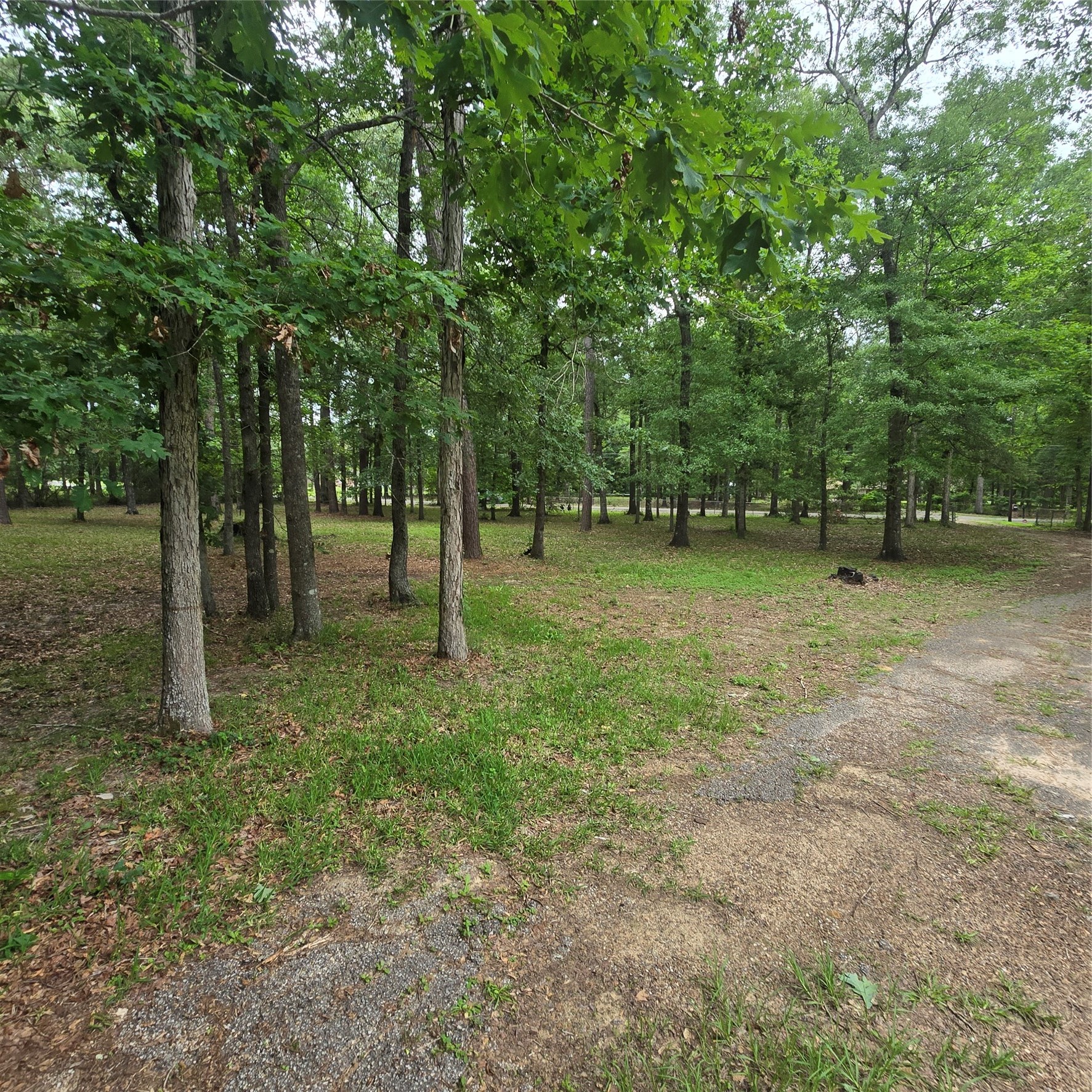 910 Ragsdale Springs Road Shepherd, TX 77371 - Photo 29 of 32