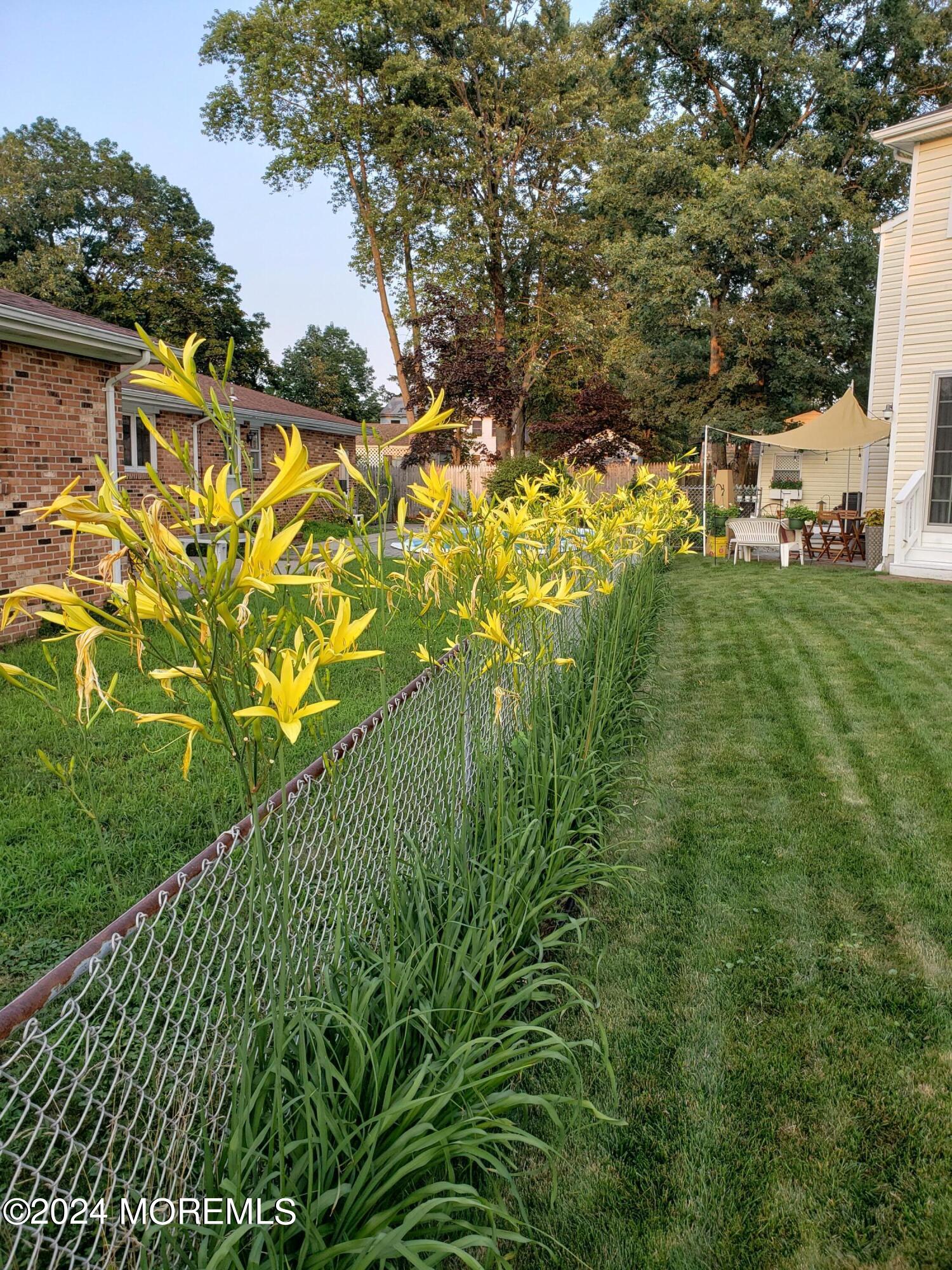 205 Walnut Drive Brick, NJ 08724 - Photo 43 of 44 Side yard 5