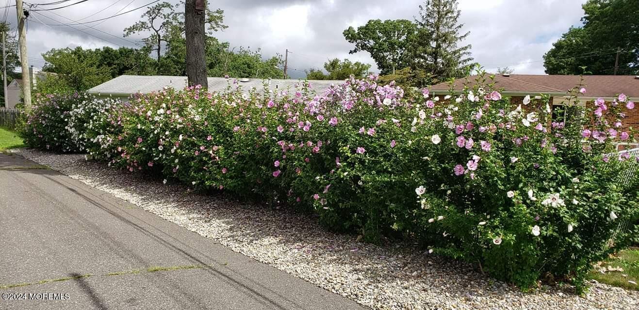 205 Walnut Drive Brick, NJ 08724 - Photo 44 of 44 Side yard 6