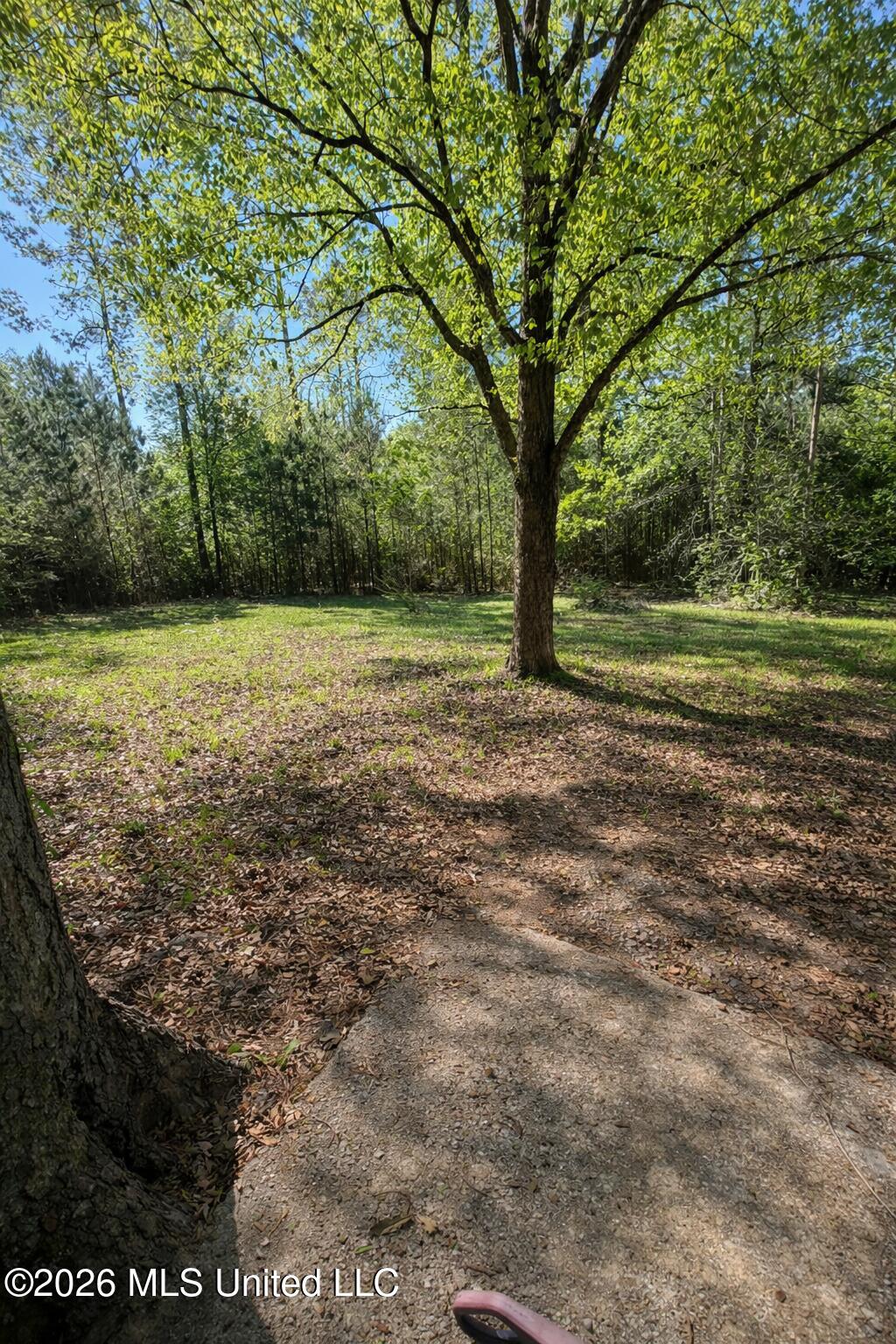 1146 Johnston Chapel Road Summit, MS 39666 - Photo 23 of 26 cc53a221-705b-41f3-b090-096cf3c19260
