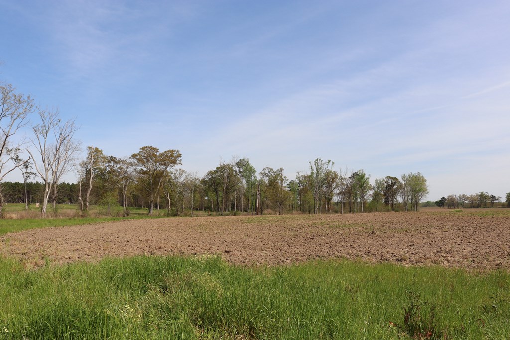 2154 J East Saunders Road Dothan, AL 36301 - Photo 3 of 15