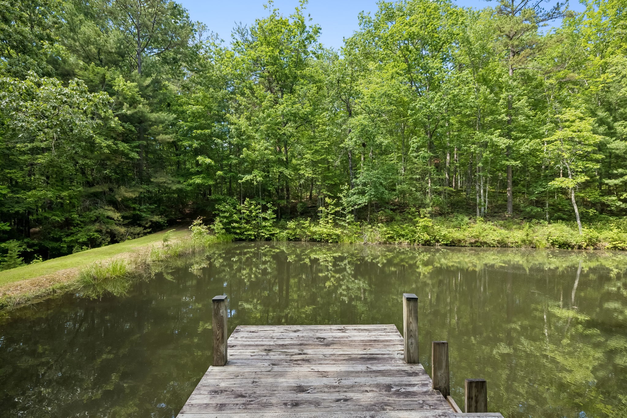 340 Doe Ridge Road Oneida, TN 37841 - Photo 65 of 99
