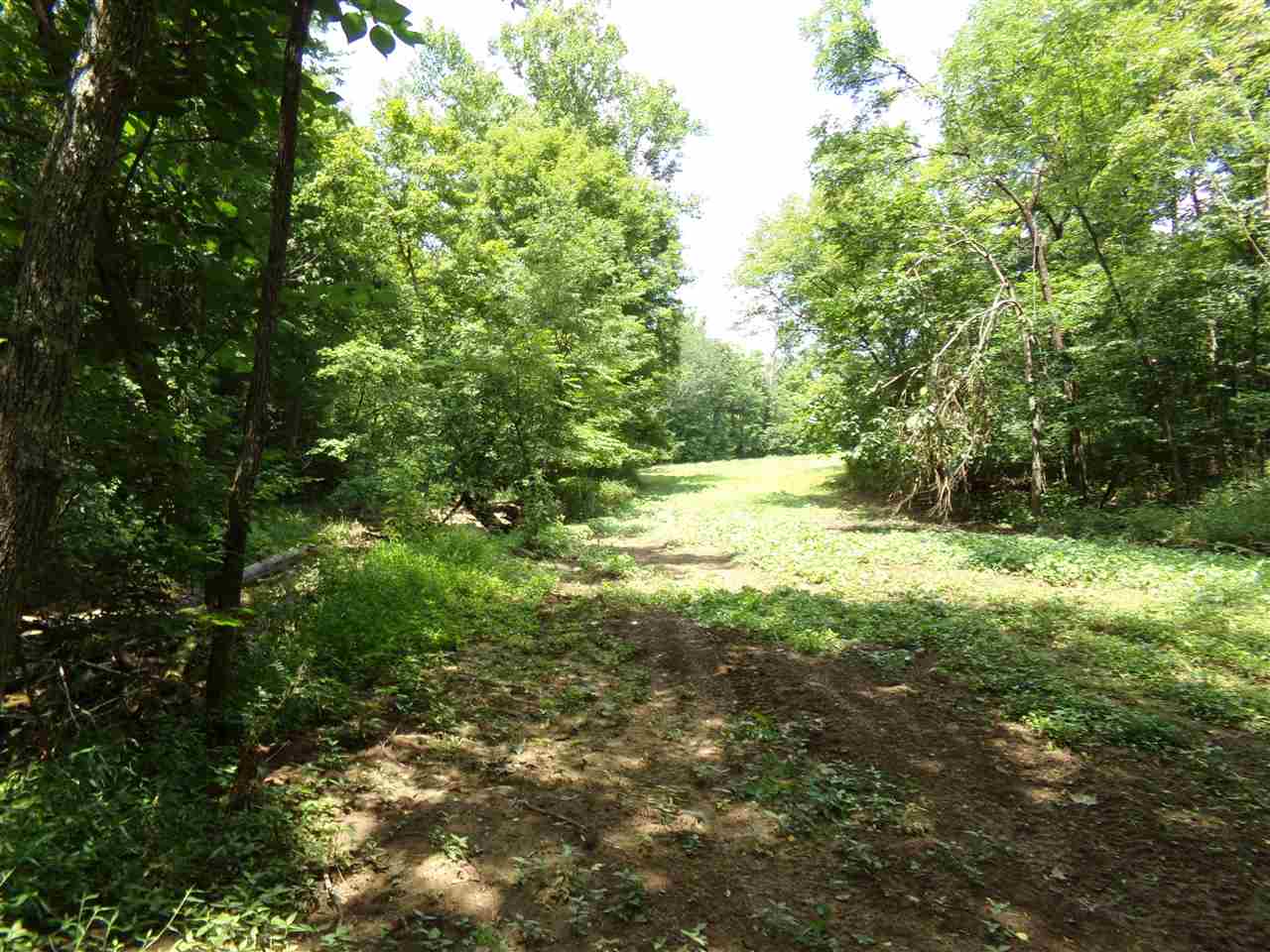 645 Ouiggins Road Olaton, KY 42361 - Photo 16 of 20 Gallery Image 16
