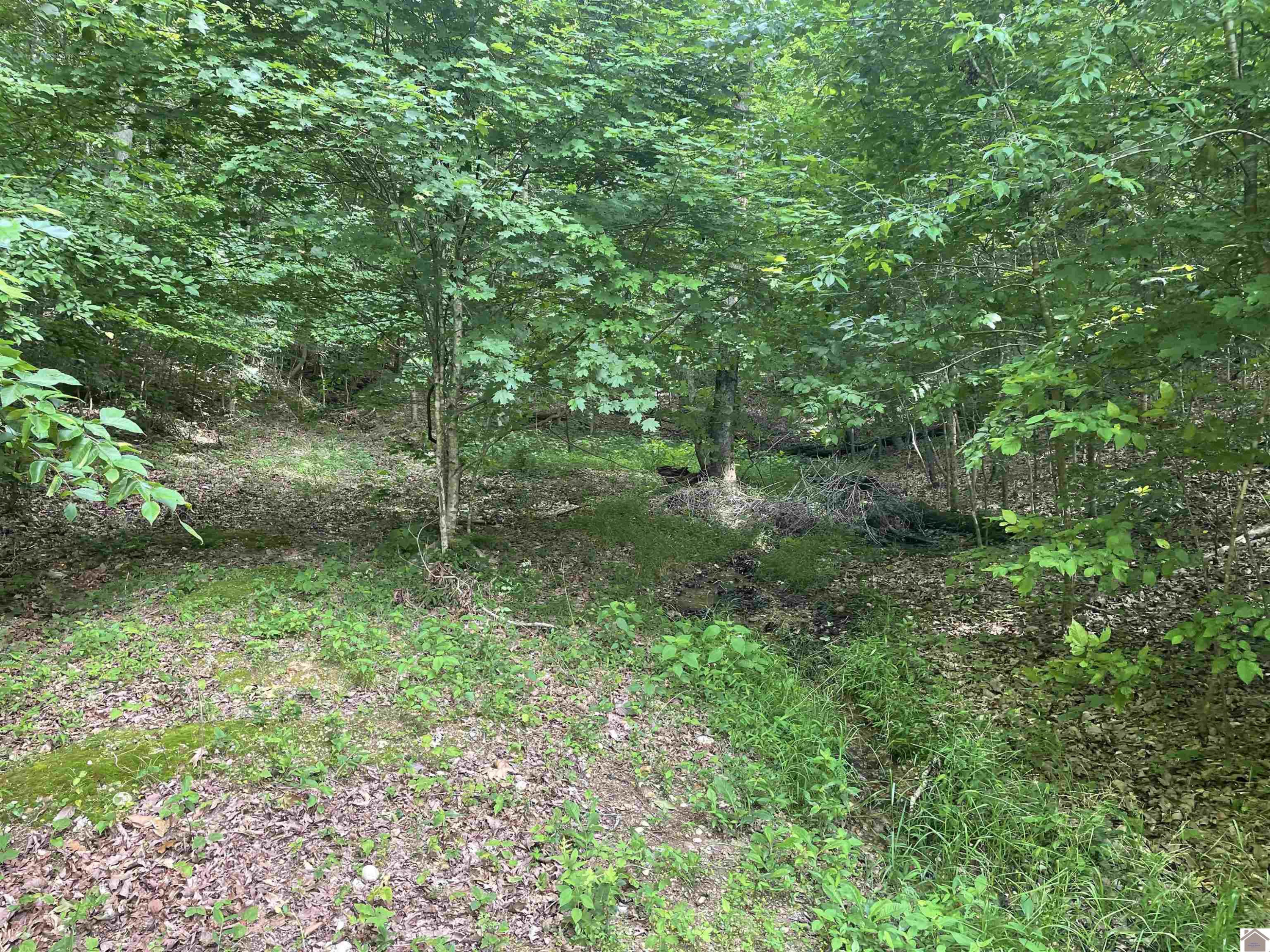 3642 Linton Road Cadiz, KY 42211 - Photo 10 of 18 Photo 10