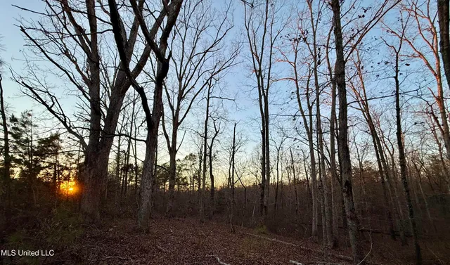$193,900 | 0 Tall Pines Road, Ashland, MS 38603
