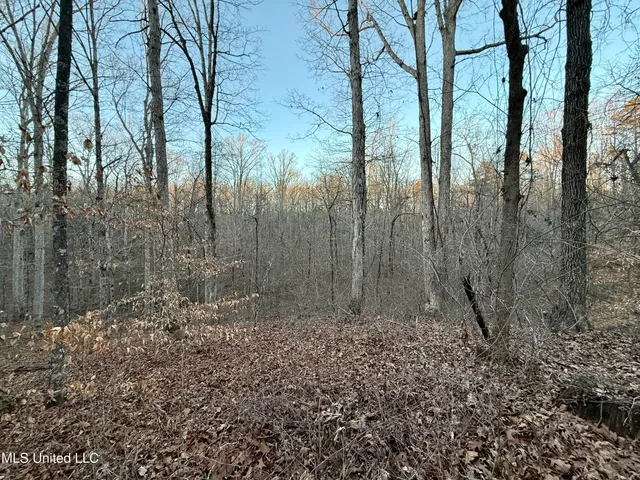 $193,900 | 0 Tall Pines Road, Ashland, MS 38603