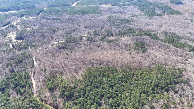 $193,900 | 0 Tall Pines Road, Ashland, MS 38603