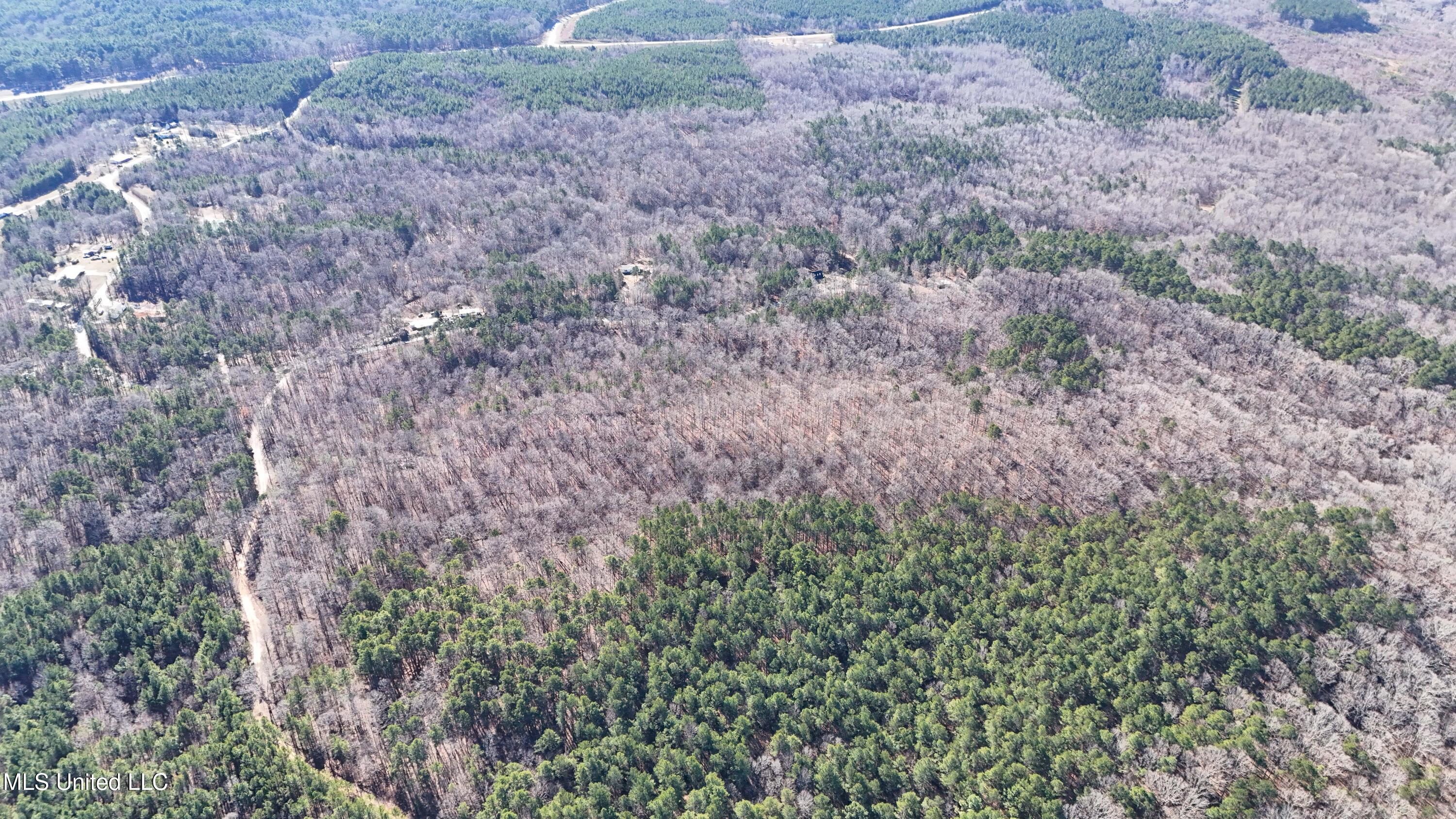0 Tall Pines Road Ashland, MS 38603 - Photo 5 of 14 Ashland_-13