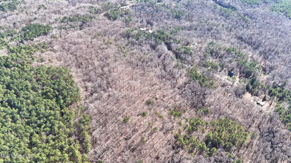 $178,800 | 0 Tall Pines Road, Ashland, MS 38603