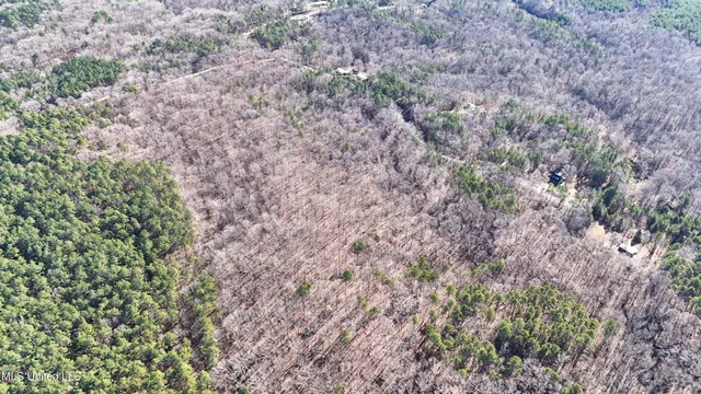 $193,900 | 0 Tall Pines Road, Ashland, MS 38603