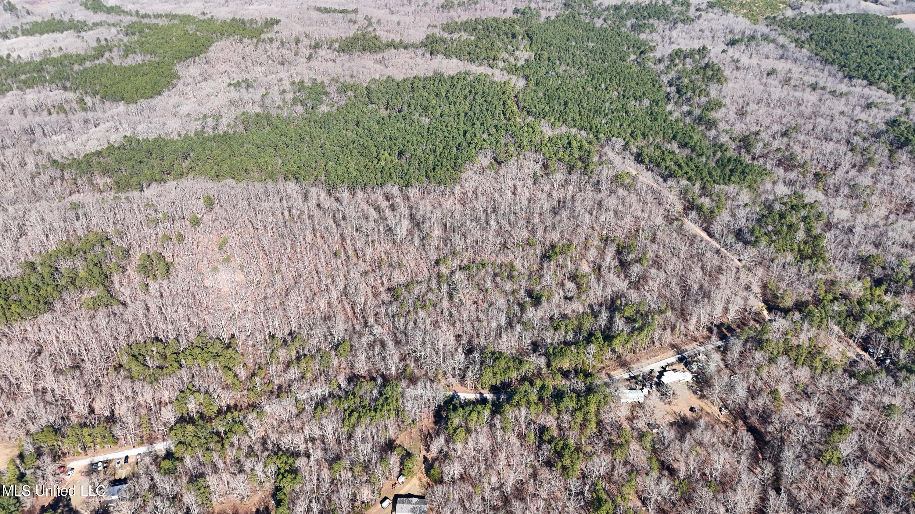0 Tall Pines Road Ashland, MS 38603 - Photo 7 of 14 Ashland_-7