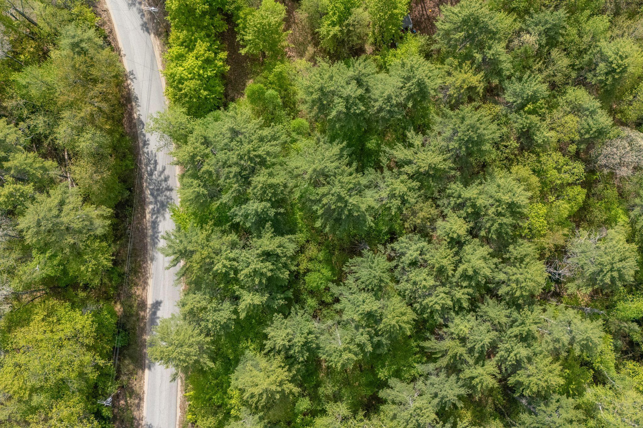 Lot C Shady Nook Road West Newfield, ME 04095 - Photo 4 of 12 4_DJI_20260520092949_0001_D copy
