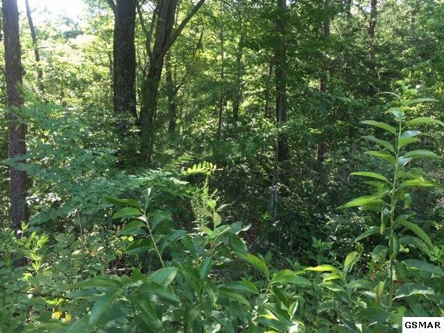 264 Bogard Crk Road Cosby, TN 37722 - Photo 11 of 13