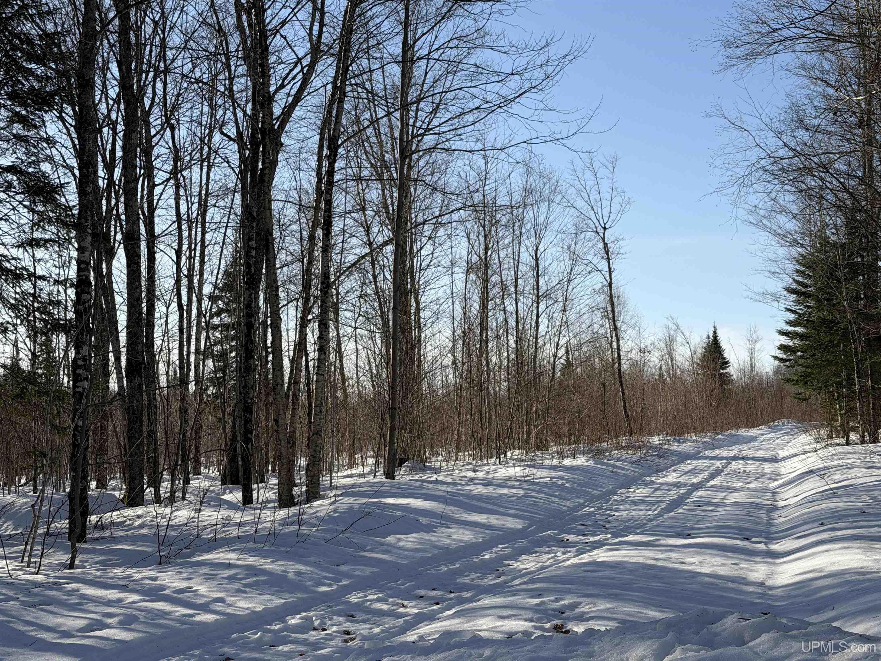 56-acres Halverson Road Skandia, MI 49885 - Photo 1 of 16