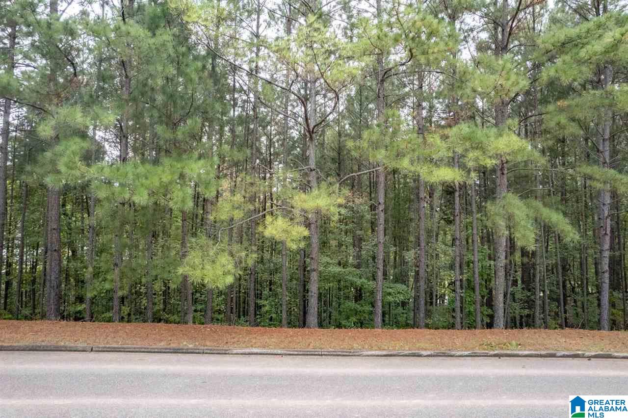 8048 Castlehill Road, Unit 8 Birmingham, AL 35242 - Photo 12 of 12