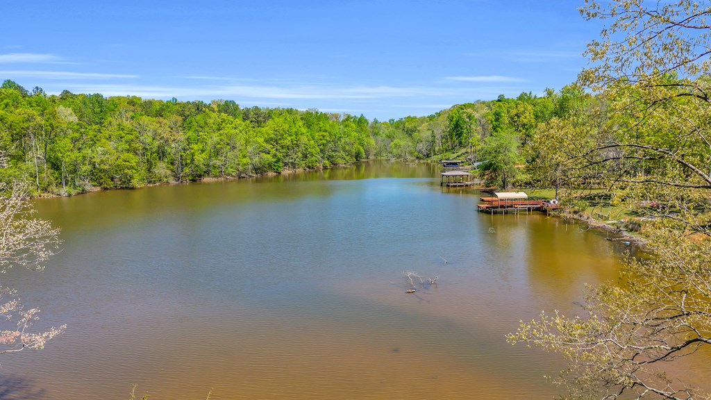 586 North Ruth Walker Road Waterloo, SC 29384 - Photo 22 of 22