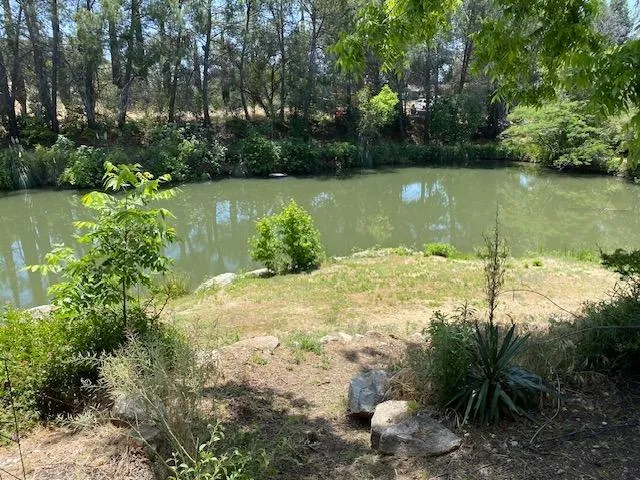 a view of lake from a yard
