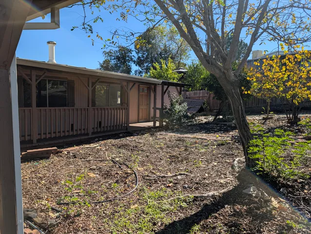 a view of a backyard with a tree