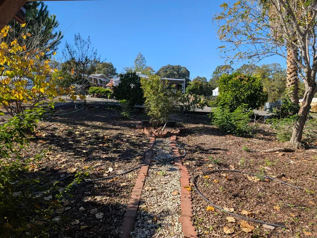 a big yard with lake view