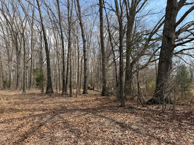 3519 Morris Ferry Bridge Road Estill Springs, TN 37330 - Photo 31 of 75 Gallery Image 31