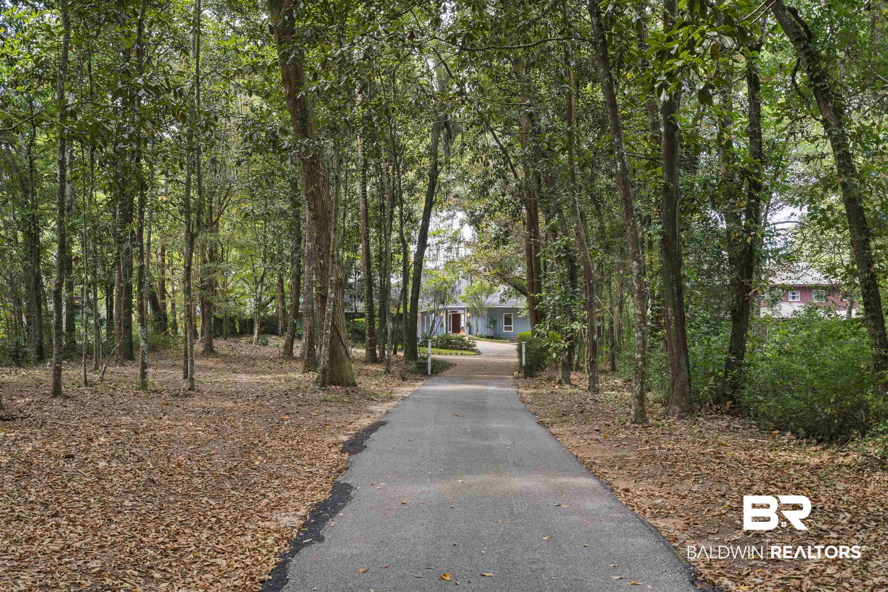 2005 Old County Road Daphne, AL 36526 - Photo 10 of 50 Long Private Driveway flanked by Canopy of Trees