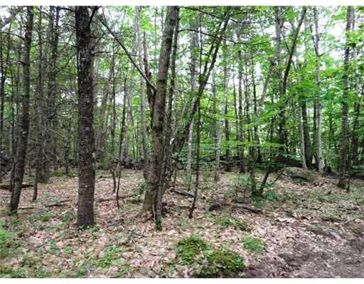 0 Moose Run Road Wayne, ME 04284 - Photo 2 of 2 Land/Lot.
