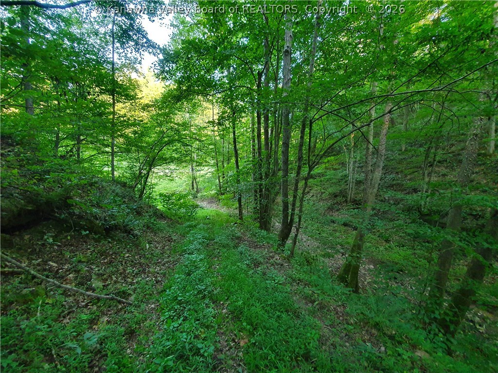 0 Bear Fork Road Gay, WV 25244 - Photo 20 of 23 Gallery Image 20