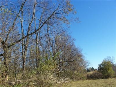 451 Cane Ridge Road Paris, KY 40361 - Photo 3 of 9 Listing Photo