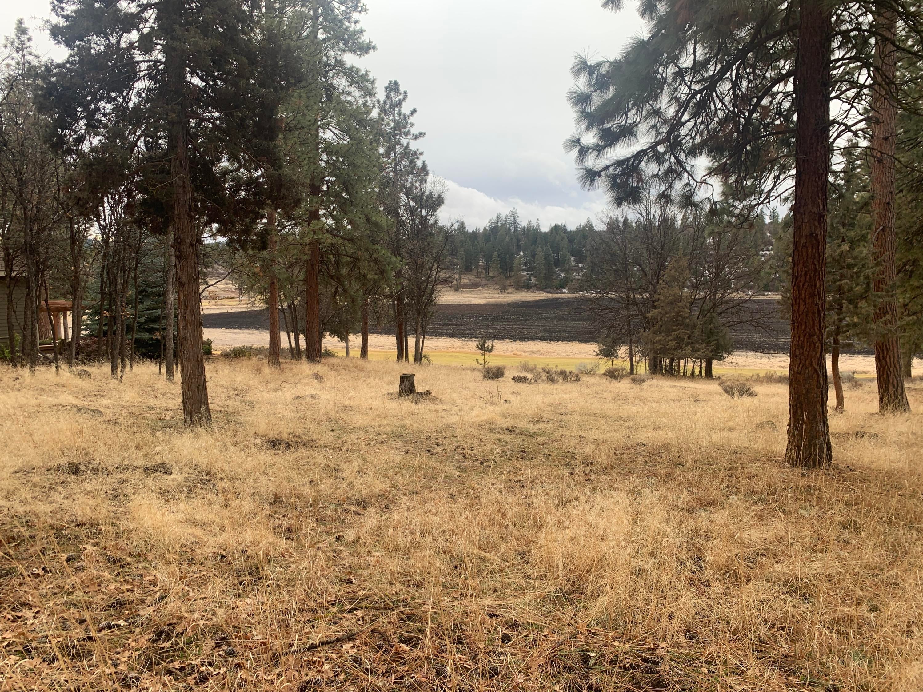 Lot 69 Merganser Road Klamath Falls, OR 97601 - Photo 6 of 20 IMG_9646