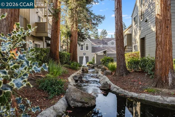a view of backyard of house