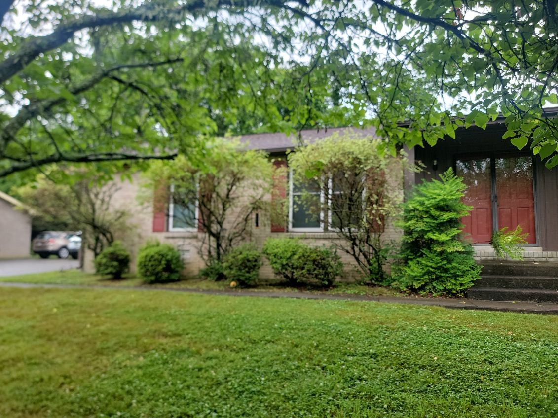 a view of a garden in front of a house