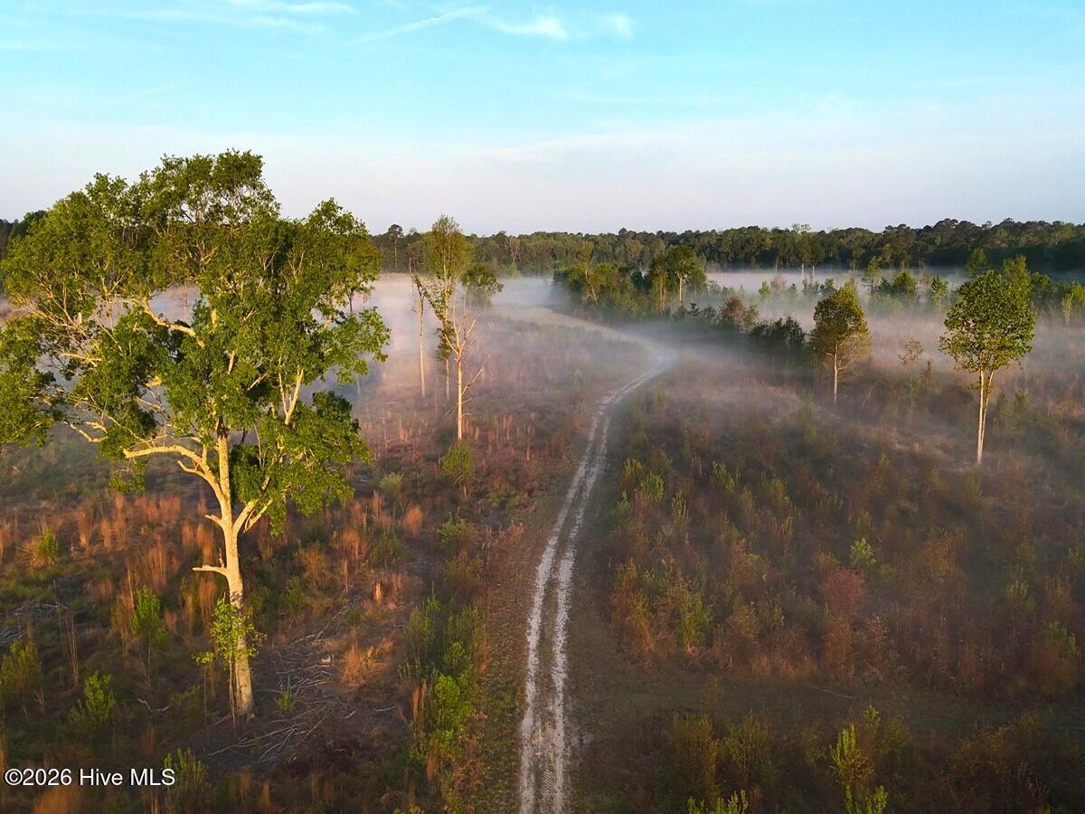 0 Durwood Evans Road Beulaville, NC 28518 - Photo 5 of 68 5. Primary Road