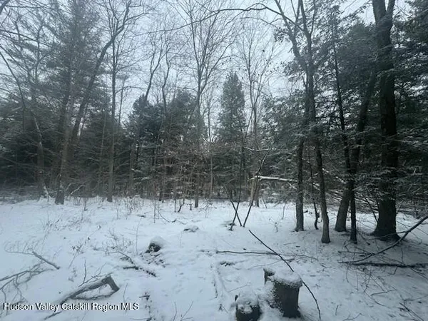 a view of a forest covered with snow