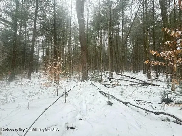 a view of a yard covered in snow