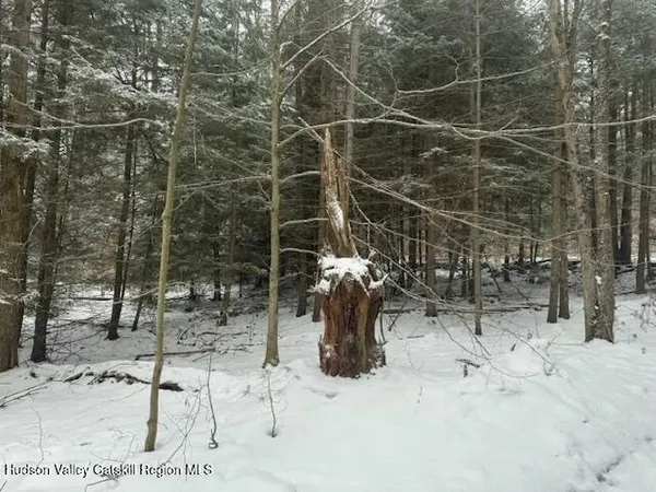 a view of a covered with snow