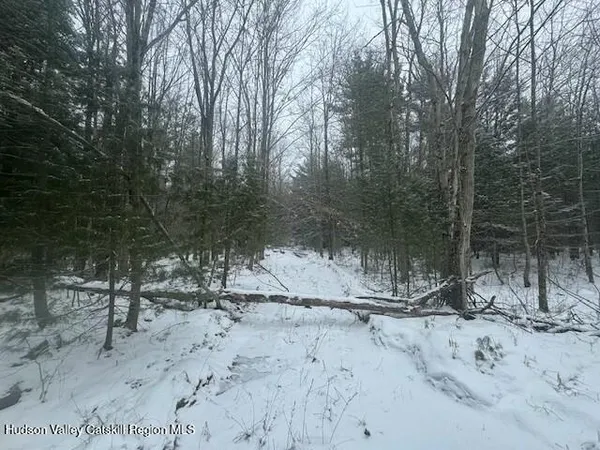 a view of wooden fence and trees