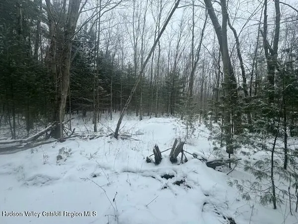 a view of a backyard of a house