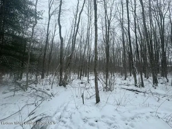 a view of three yard with trees