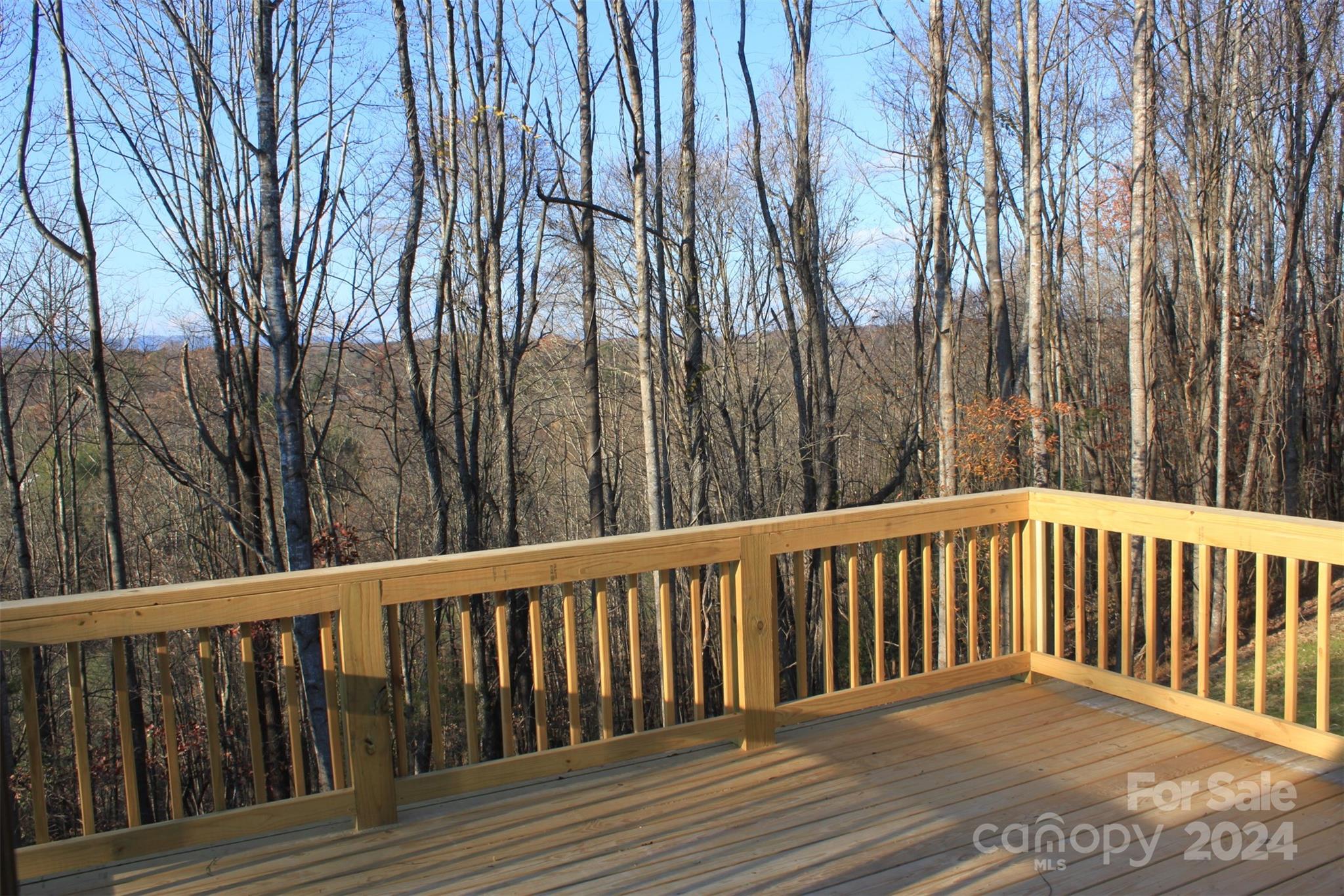 133 Blue Ridge Avenue Extension Elkin, NC 28621 - Photo 4 of 16 Gallery Image 4