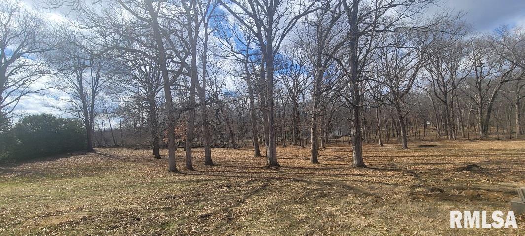 26908 Hinman Road Tremont, IL 61568 - Photo 11 of 14