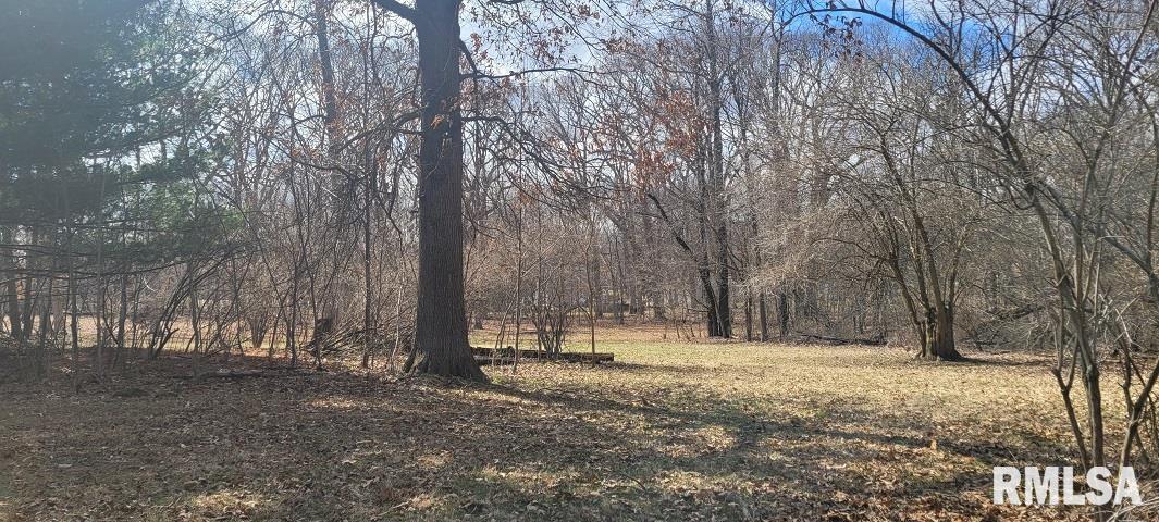 26908 Hinman Road Tremont, IL 61568 - Photo 2 of 14