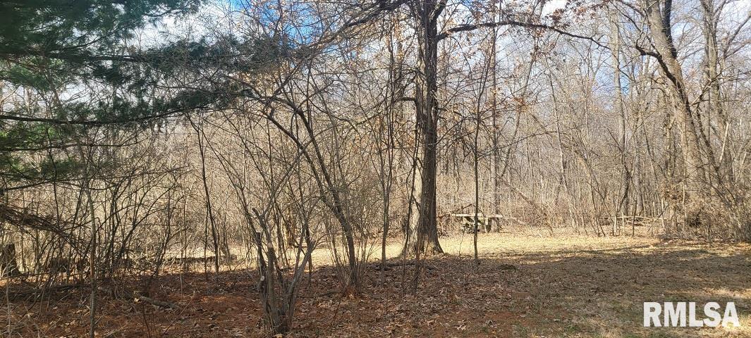 26908 Hinman Road Tremont, IL 61568 - Photo 3 of 14