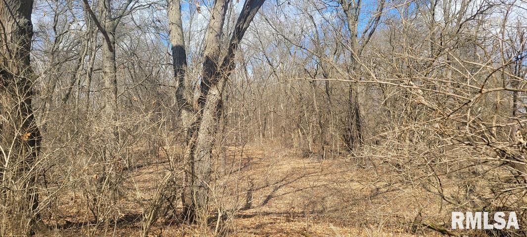 26908 Hinman Road Tremont, IL 61568 - Photo 4 of 14