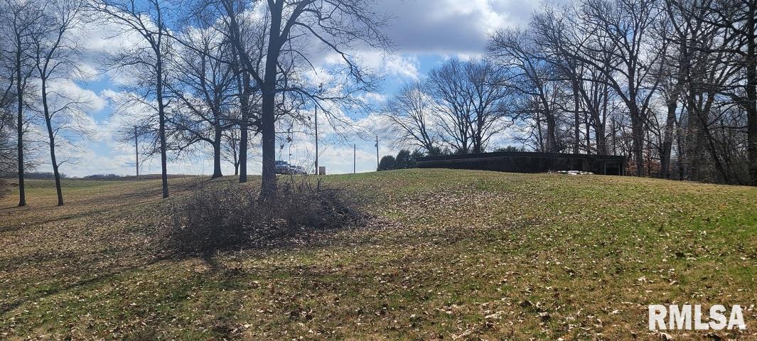 26908 Hinman Road Tremont, IL 61568 - Photo 5 of 14