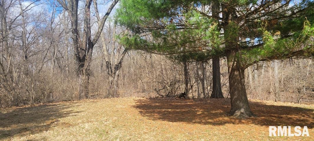 26908 Hinman Road Tremont, IL 61568 - Photo 6 of 14