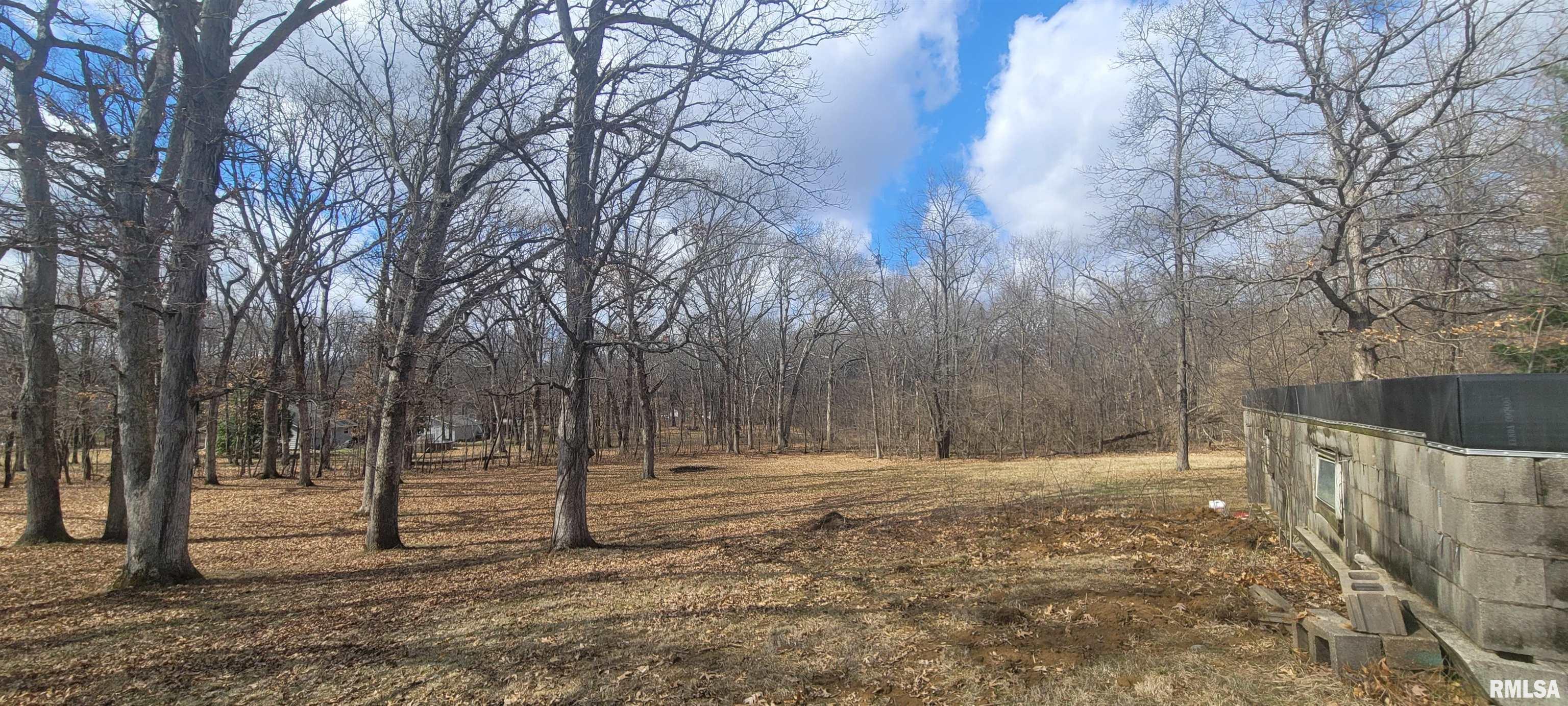 26908 Hinman Road Tremont, IL 61568 - Photo 7 of 14